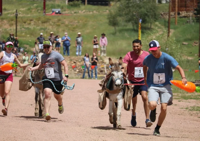 Donkey Race