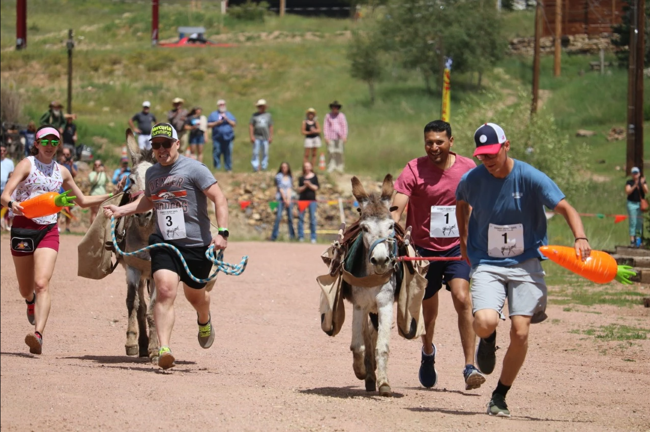 Donkey Race